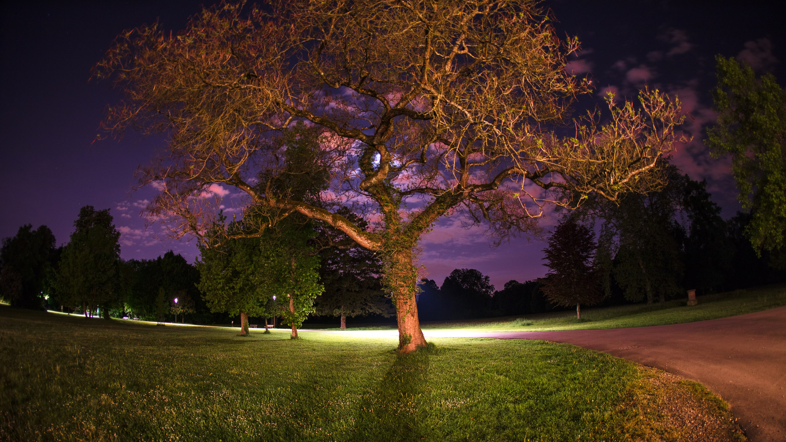 20220507235707 DP017487